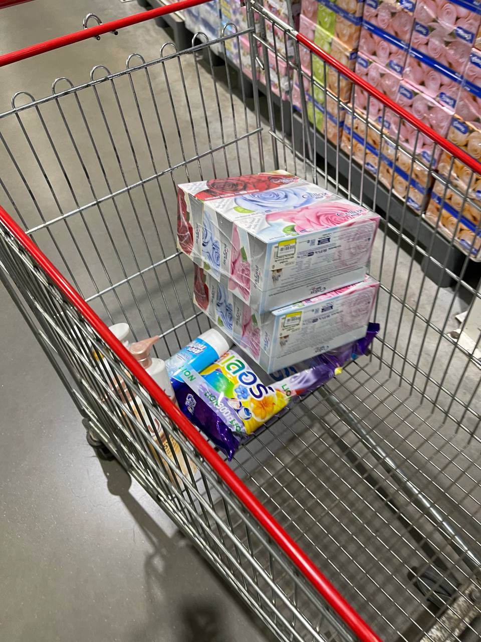 Modern Trade Distribution Boosting FMCG Sales with BJC Products at Makro Market In Cambodia - Image 42
